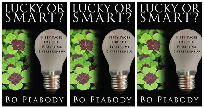Best Business Books Lucky or Smart