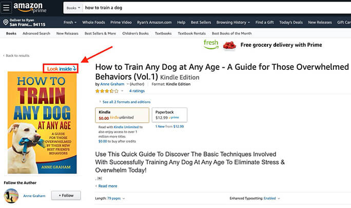Look Inside on Amazon eBook (Write an Introduction) Screenshot