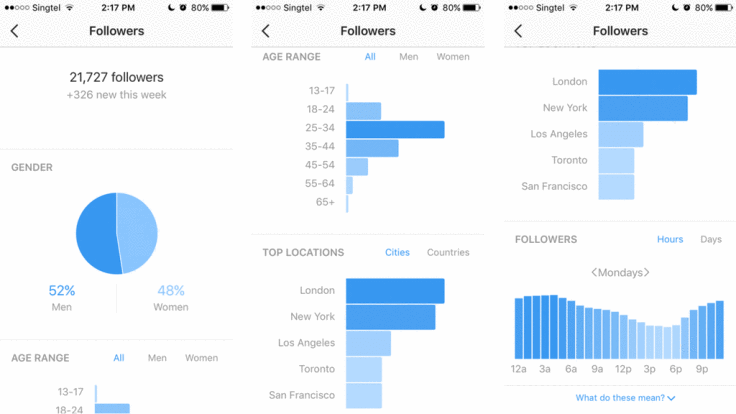 Instagram Insights Screenshot (to Understand Your Blog's Target Audience)