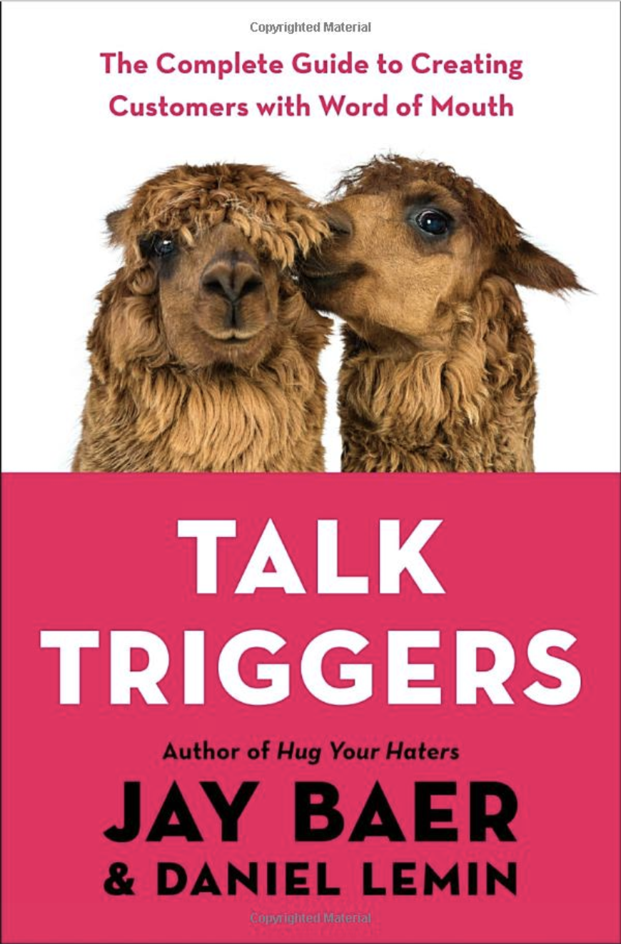 Talk Triggers by Jay Baer Book for Bloggers