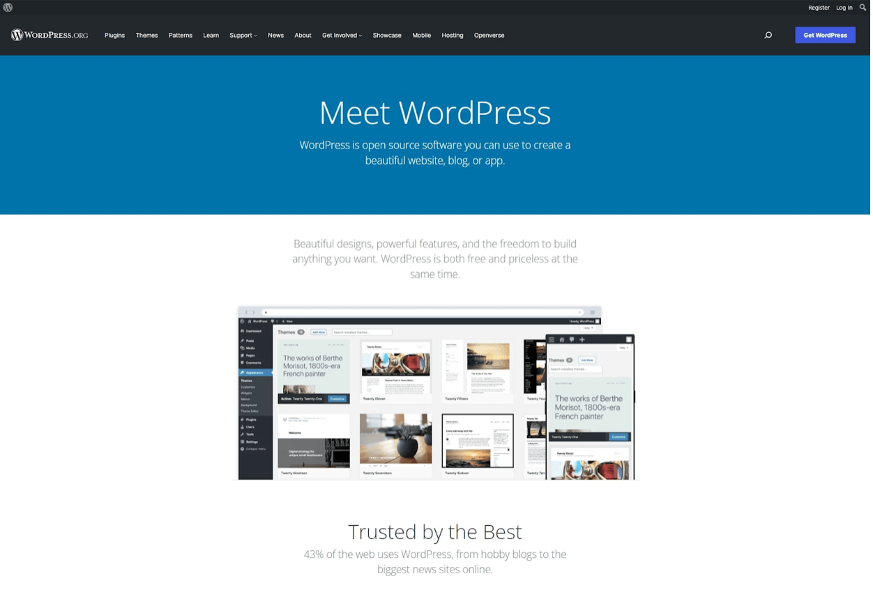 Self-Hosted WordPress for the Best Blogging Software to Use